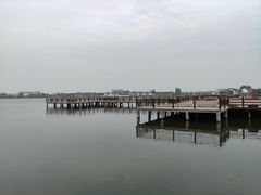 -鹅湖玫瑰文化园