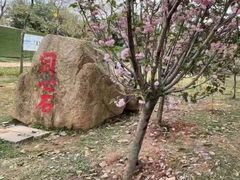 -观澜湖生态运动公社