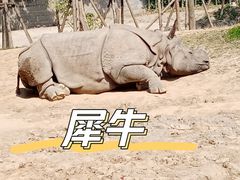 -上海野生动物园