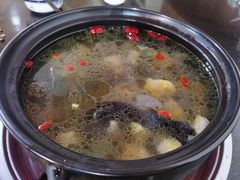 -蘑统田下·野生菌火锅