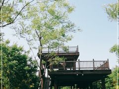 -天津东丽湖风景区