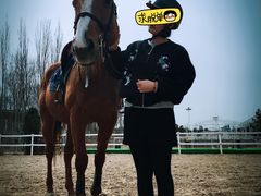 -大连凯洋马术俱乐部有限公司