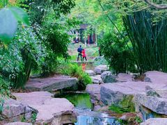 -龙头寺公园