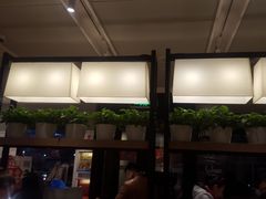 -肯德基(中州一店)