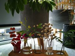 -蝶舍·MAISON PAPILLON