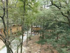 -石燕湖生态旅游景区