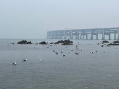-银沙滩浴场