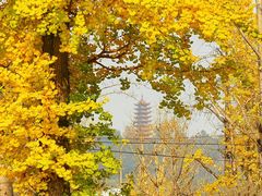 -两江幸福广场