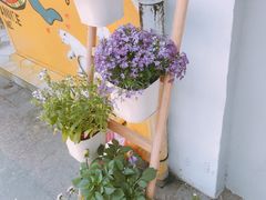 -茶是一枝花泡茶店