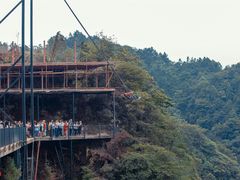 -梦幻奥陶纪景区