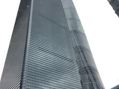 -上海柏悦酒店·世纪100牛排馆
