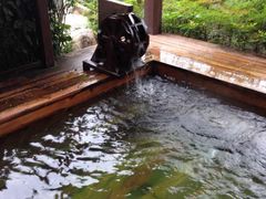-杭州第一世界大酒店·云曼温泉