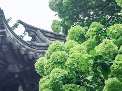 -常熟方塔园