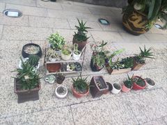 -下海庙
