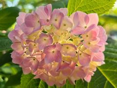 -常州古运河南大街文化旅游区-人民公园