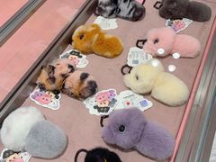 -北京SKP