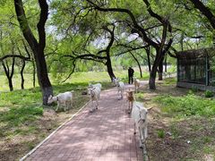 -黛秀湖公园