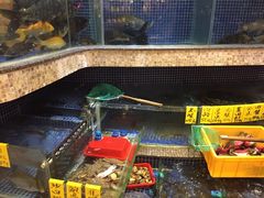 水产区-权记避风塘(鸿记店)
