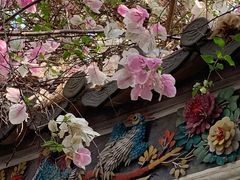 -深圳国际园林花卉博览园