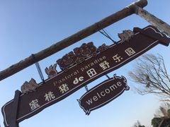-田园东方蜜桃村的田野营地