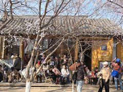 -春风习习