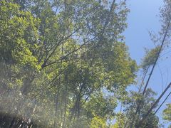 -会稽山峡洞漂流-上青古道