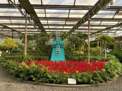 -南宫五洲植物乐园