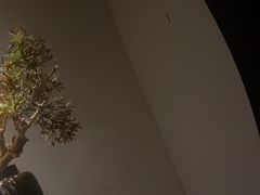 -江南足纪·影院足道·轻奢SPA(笋岗HALO广场店)