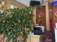 -自由港量贩KTV(西苑路店)