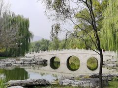 -晋祠公园