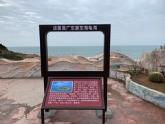 -广东惠东海龟国家级自然保护区