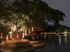 -荔湾湖公园