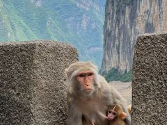 -白帝城·瞿塘峡景区