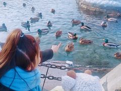 -水磨沟公园