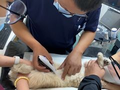 -中农大我爱我爱动物医院·核磁CT·猫病·24小时夜诊中心(石佛营店)