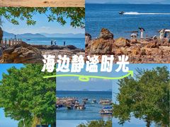 -杨梅坑