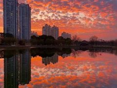 -广东惠东海龟国家级自然保护区