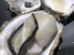 高压锅生蚝-望江门小龙虾·烧烤(九堡店)