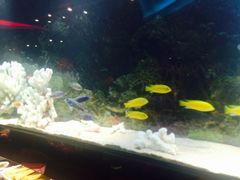 -泰谷酒店·太古码头闽菜自助餐厅