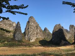 -钟山水墨田园