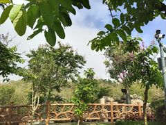 -佛冈森波拉度假区