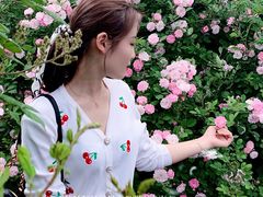 -桃花岛公园