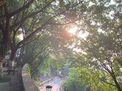 -重庆平顶山公园