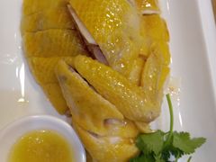 -口衣记鸡饭店
