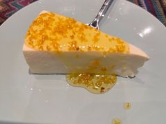 -古树酸奶(八廓南街店)