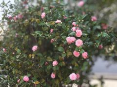-江南大学(蠡湖校区)