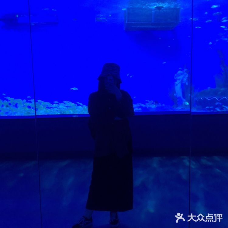 五一去哪玩|温州极地海洋世界 太太太可爱啦!