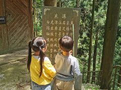-东天目山风景区