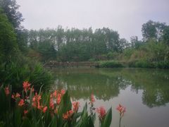 -桤木河湿地公园