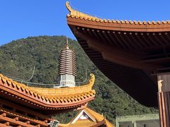 -深圳仙湖植物园